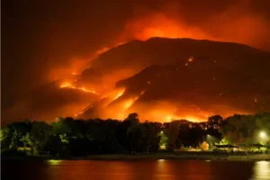 AI Helps Fight WildFires