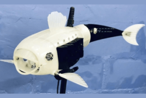 3D Robotic Fish