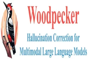 woodpecker feature image